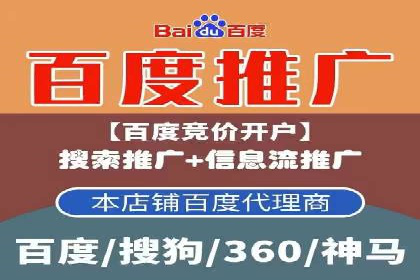 行业领先！专业SEM托管的成功实践案例